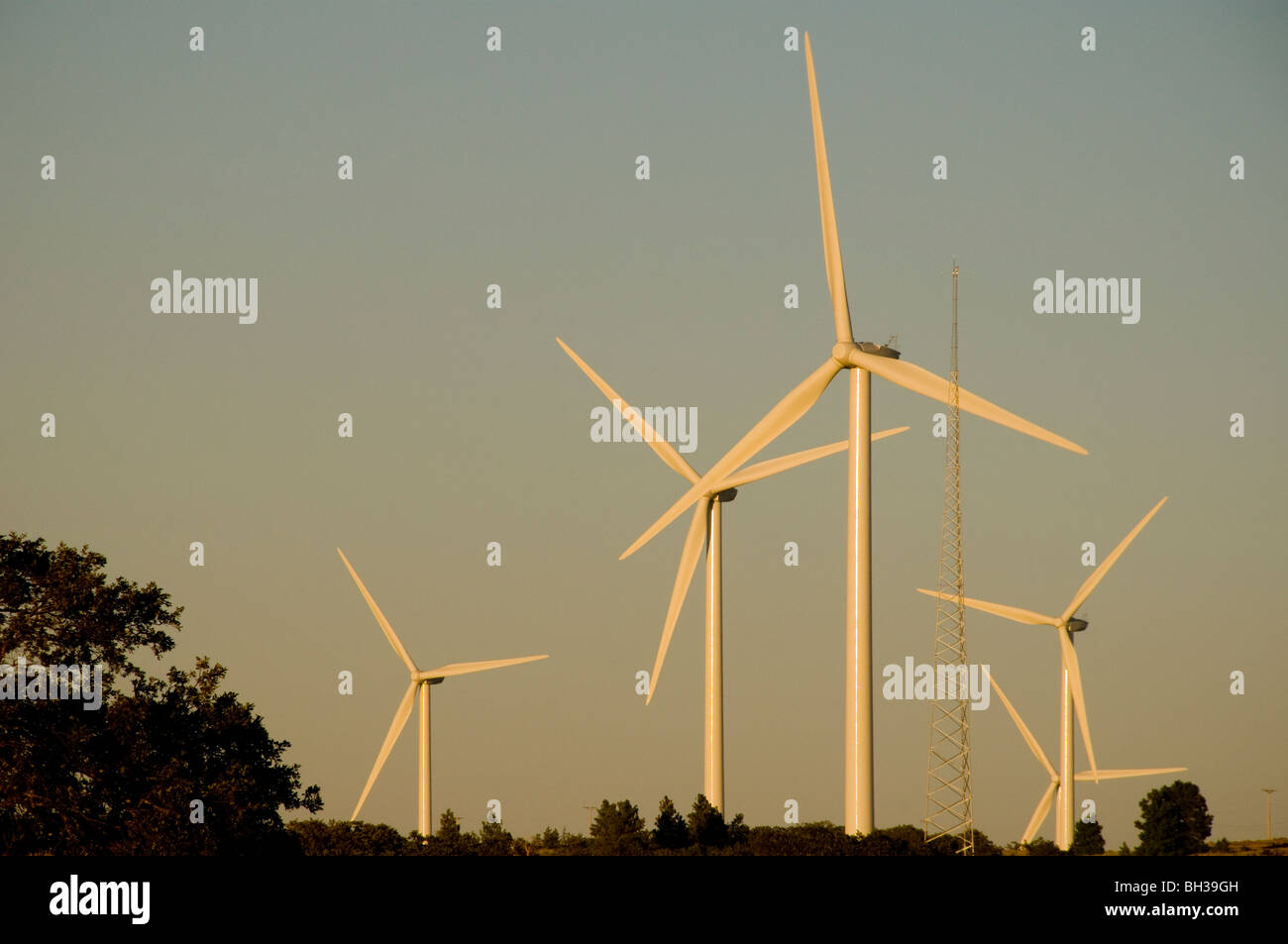 Klondike/Biglow Canyon Turbine eoliche foto da Bruce Forster Foto Stock
