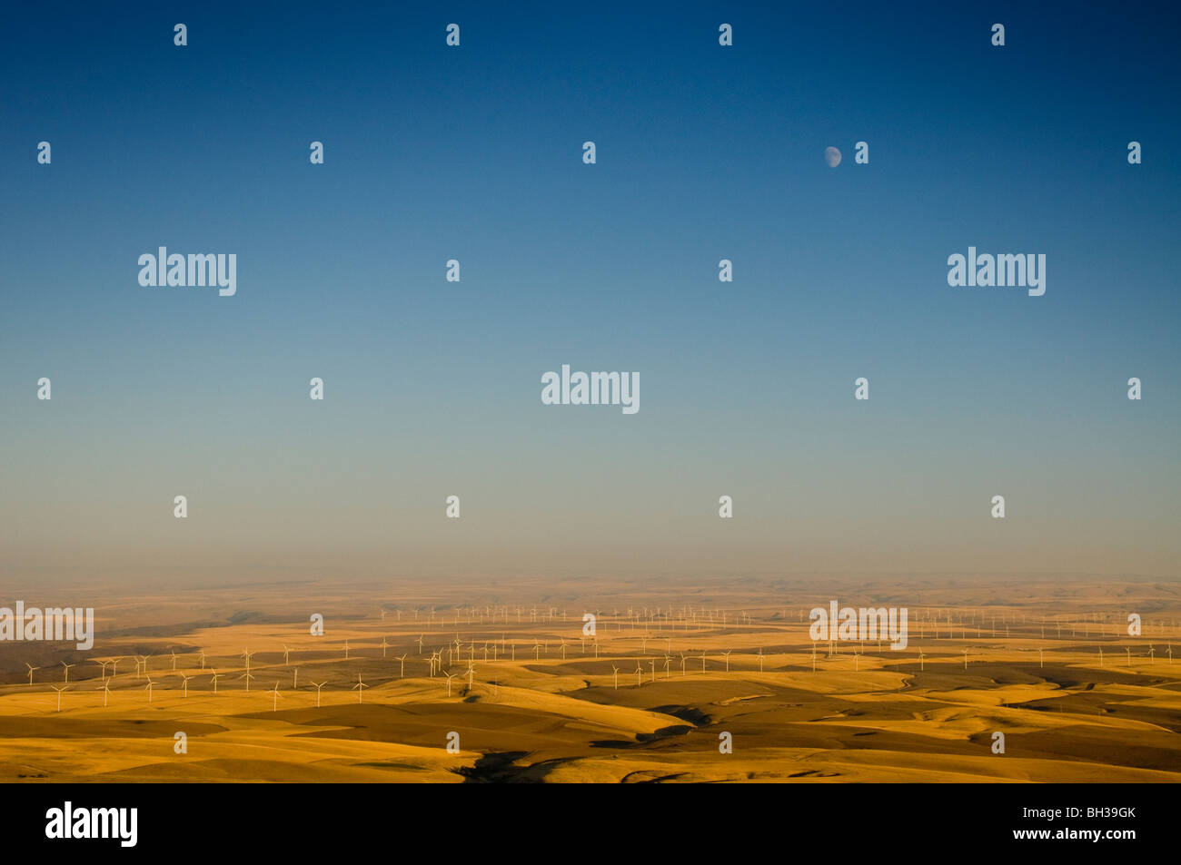 Vista aerea del Klondike/Biglow Canyon Wind Farm di proprietà di Portland General Electric foto da Bruce Forster 2009z Foto Stock
