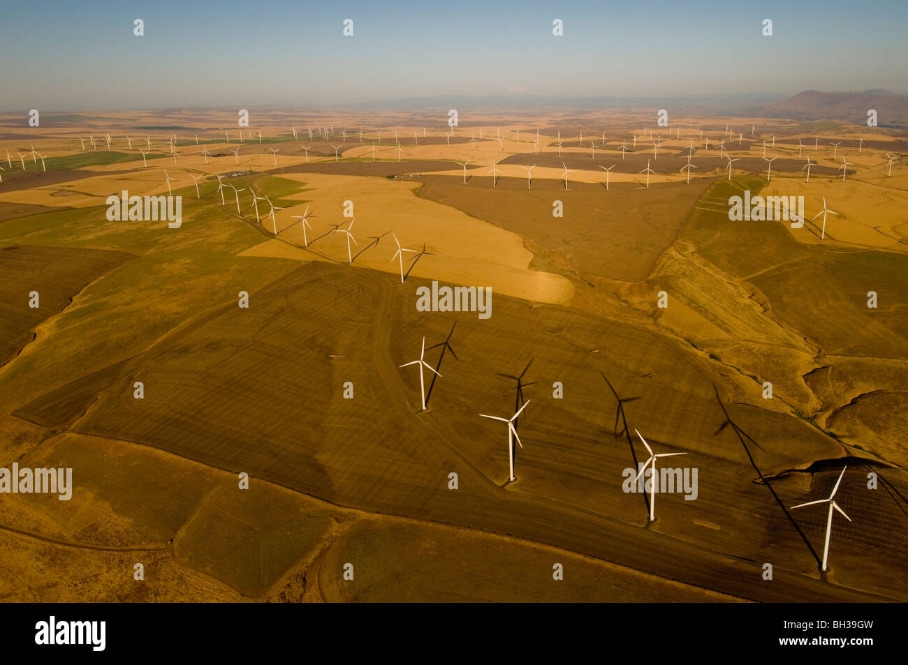 Vista aerea del Klondike/Biglow Canyon Wind Farm di proprietà di Portland General Electric foto da Bruce Forster 2009 Foto Stock