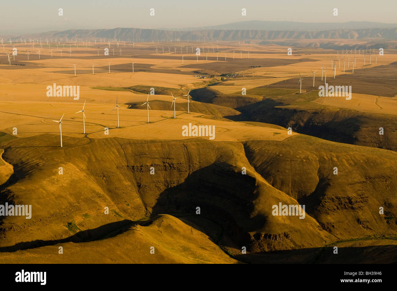 Vista aerea del Klondike/Biglow Canyon Wind Farm di proprietà di Portland General Electric foto da Bruce Forster 2009 Foto Stock