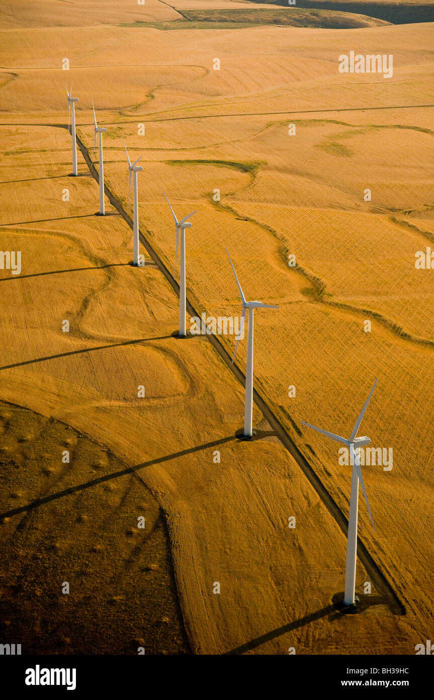 Vista aerea del Klondike/Biglow Canyon Wind Farm di proprietà di Portland General Electric foto da Bruce Forster 2009 Foto Stock