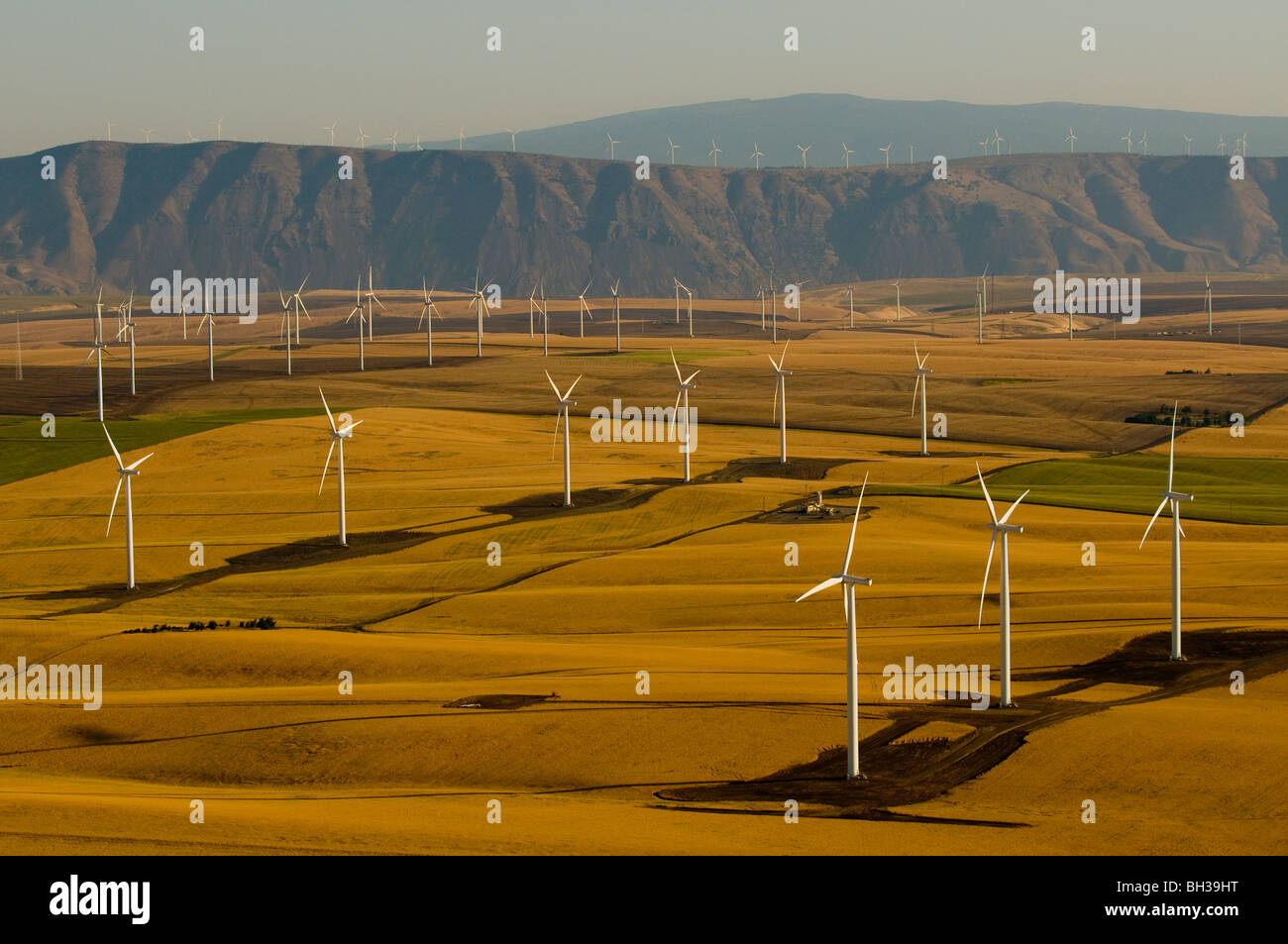 Vista aerea del Klondike/Biglow Canyon Wind Farm di proprietà di Portland General Electric foto da Bruce Forster 2009 Foto Stock