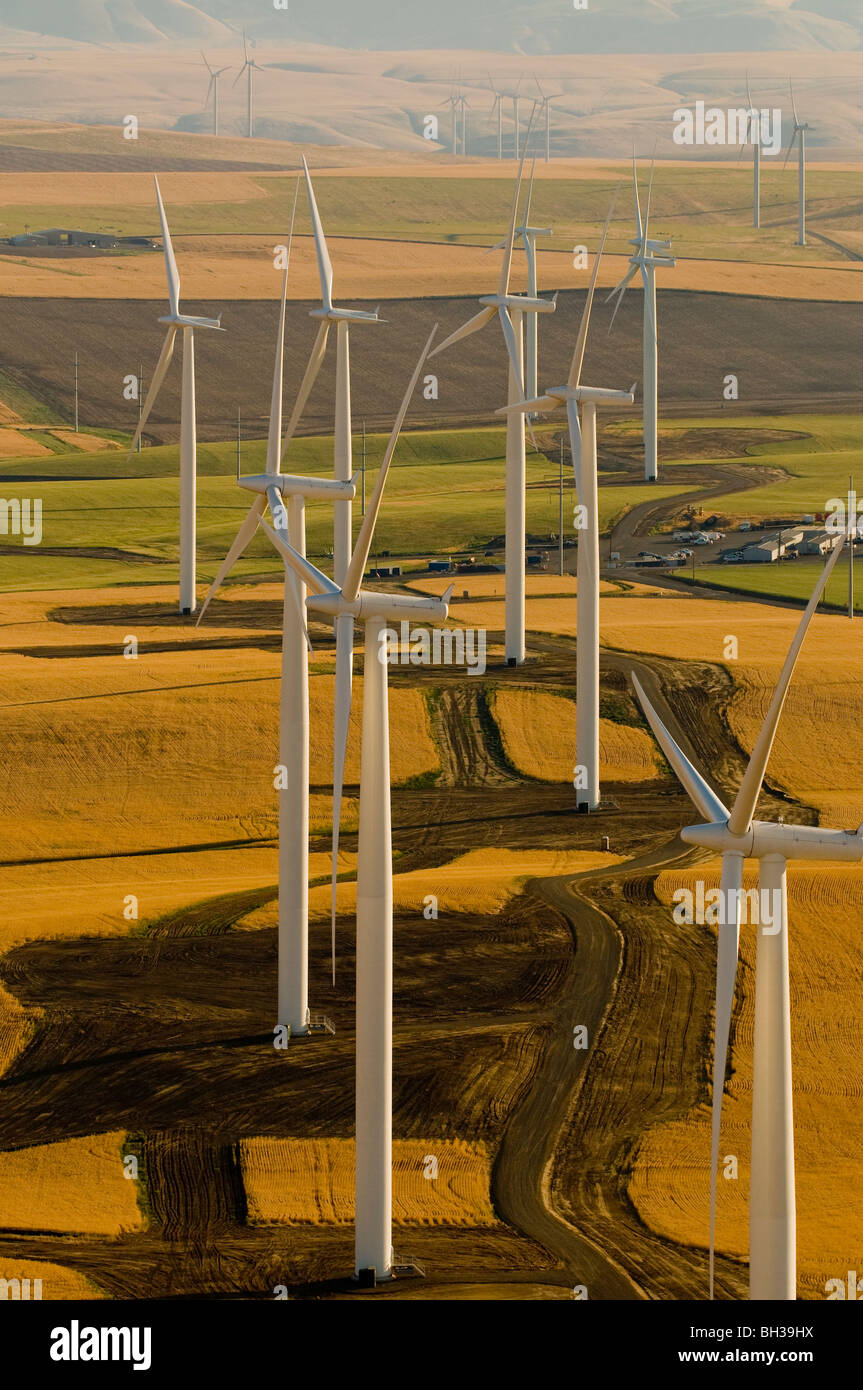 Vista aerea del Klondike/Biglow Canyon Wind Farm di proprietà di Portland General Electric foto da Bruce Forster 2009 Foto Stock