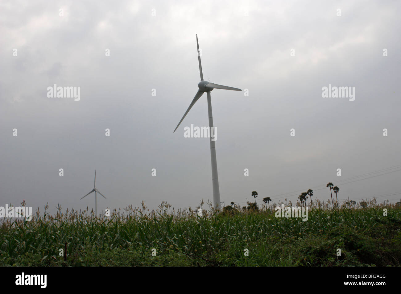 Il mulino a vento di campo di fattoria con uno scenario pittoresco vicino a Pollachi, India Foto Stock