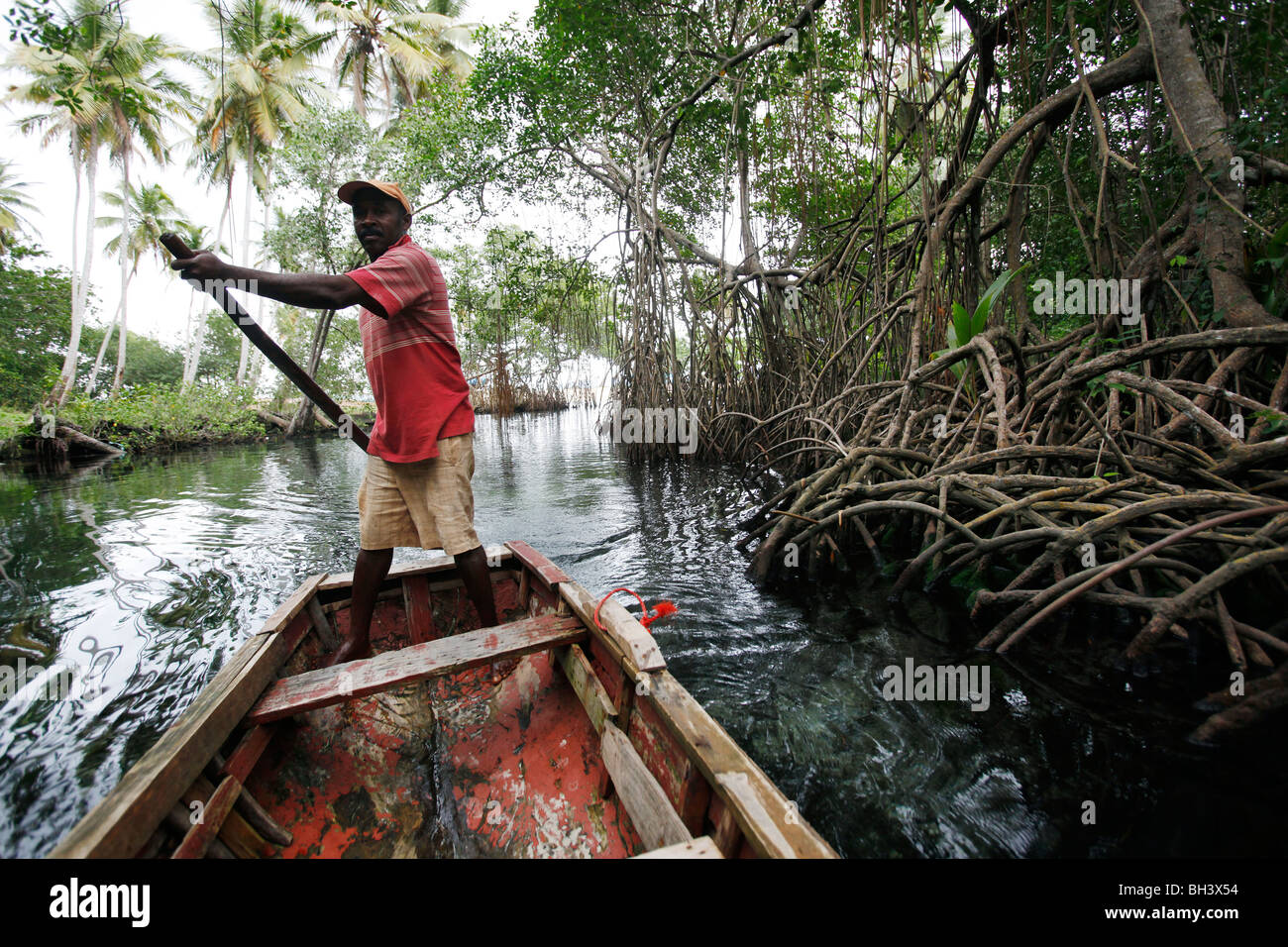 Boatman mangrovie, Rincon beach, penisola di Samana, Repubblica Dominicana Foto Stock