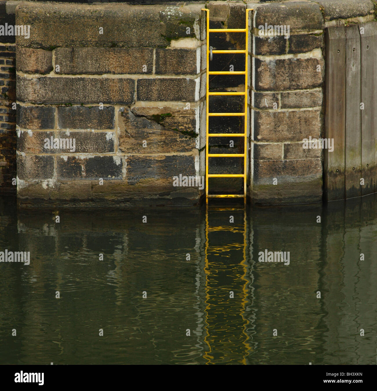 Scaletta di giallo. Foto Stock