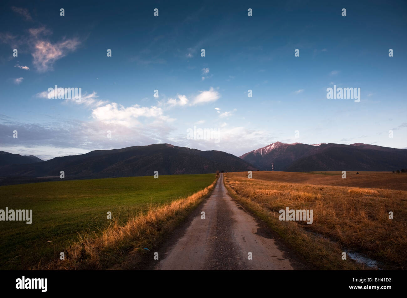 Campo sulla strada Dolinky prati, Liptov, Slovacchia con West Tatra sierra in background Foto Stock