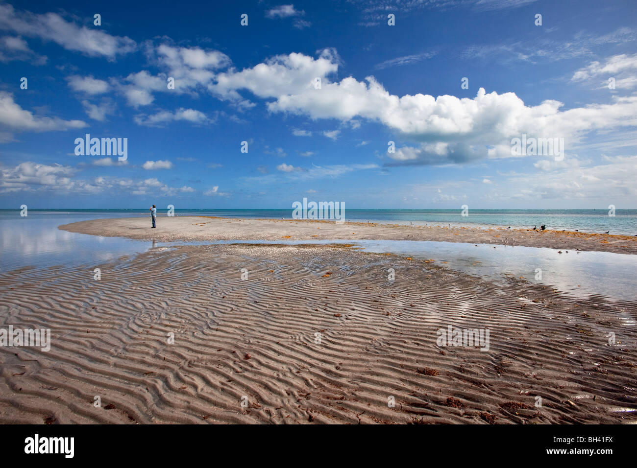 La bassa marea; Key Biscayne, Florida Foto Stock