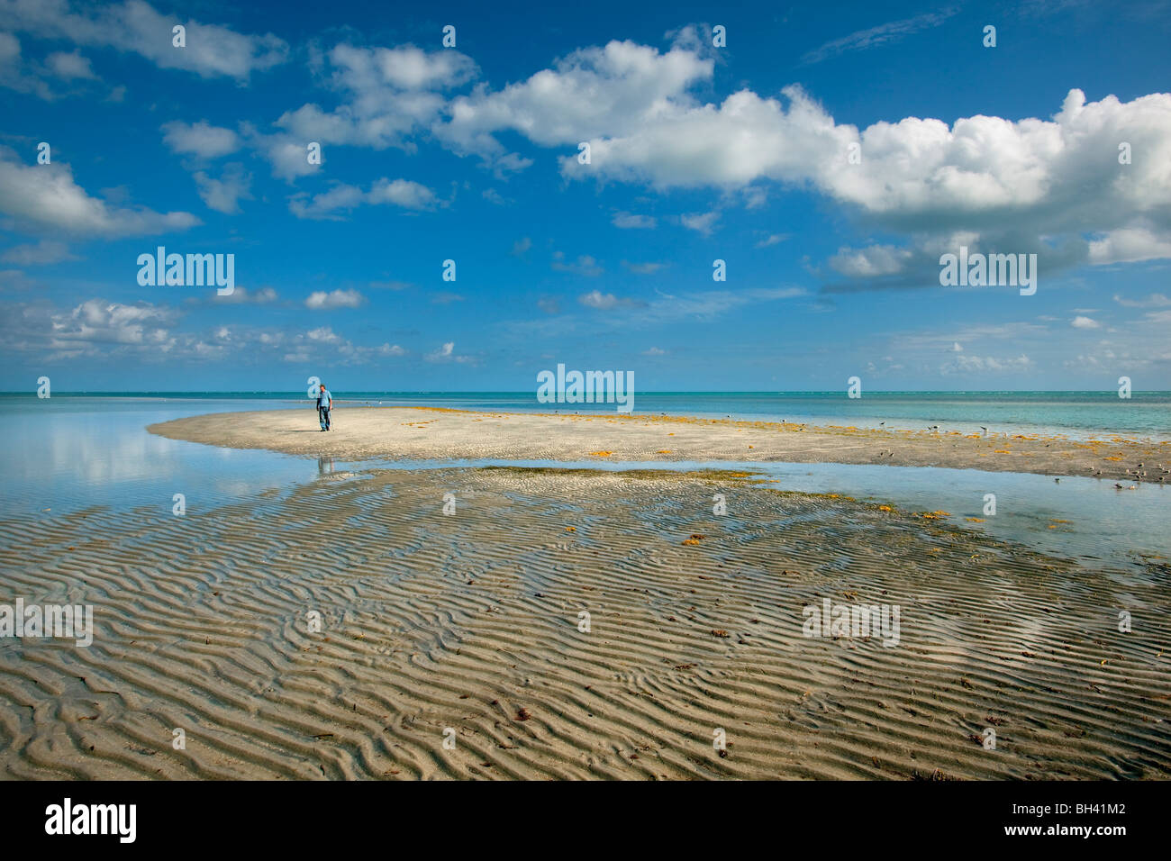 Sabbia ondulata, bassa marea, Key Biscayne, Florida Foto Stock