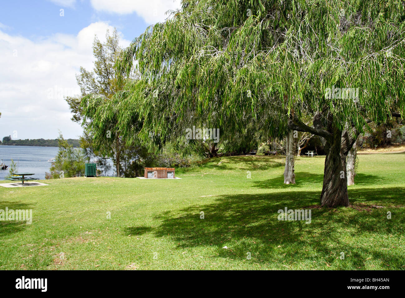 Molto ben mantenuto il parco ricreativo a Mosman bay nei pressi di Cottesloe in Western Australia. Foto Stock