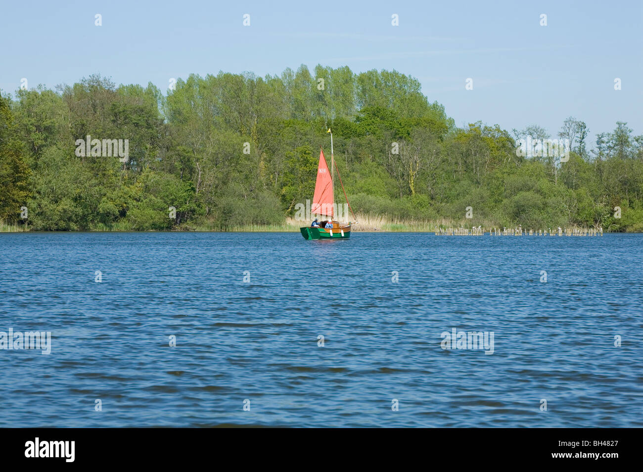 Barca a vela su Norfolk Broads in primavera. Foto Stock