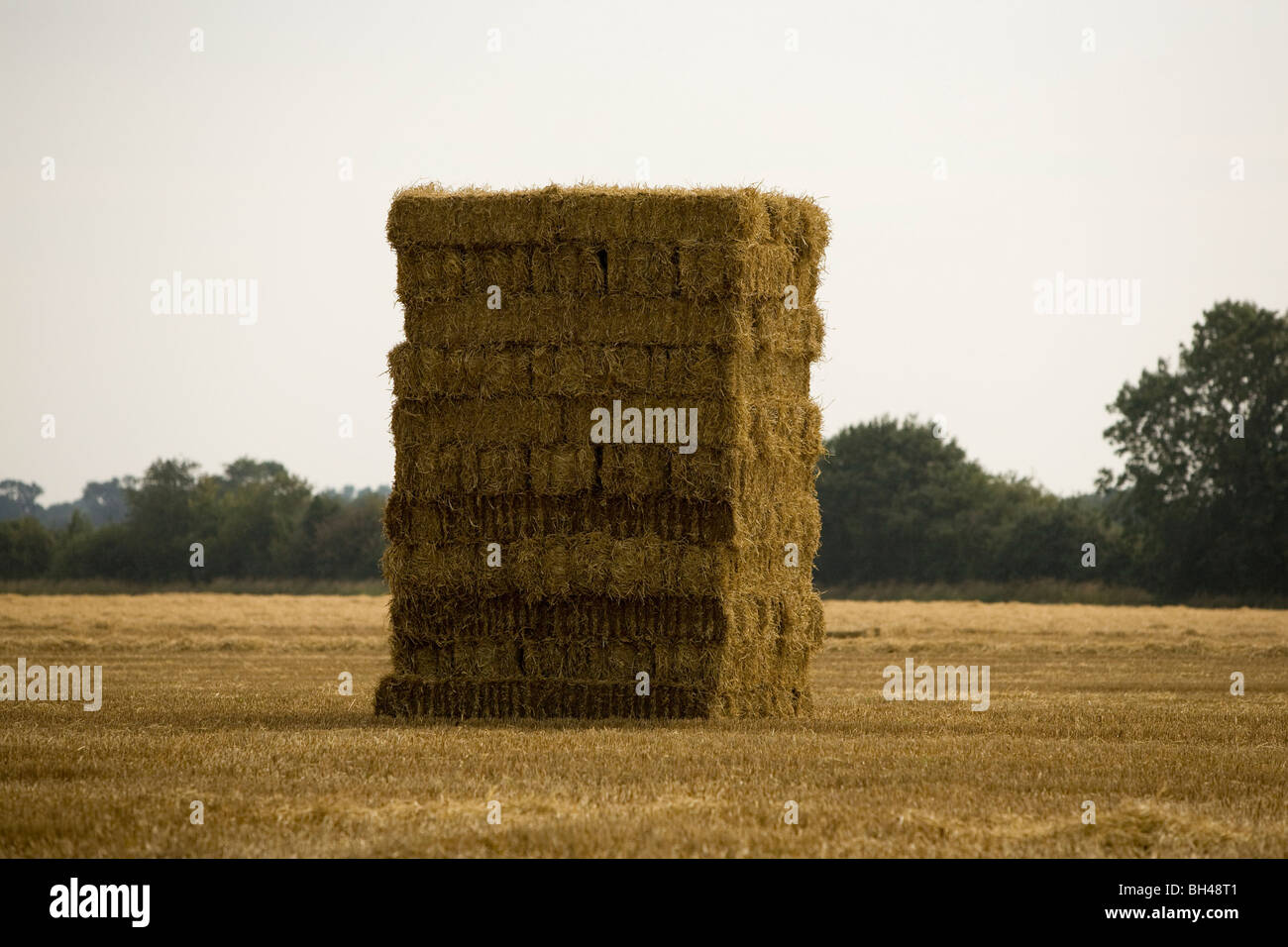Pagliaio su Norfolk farm in luglio. Foto Stock