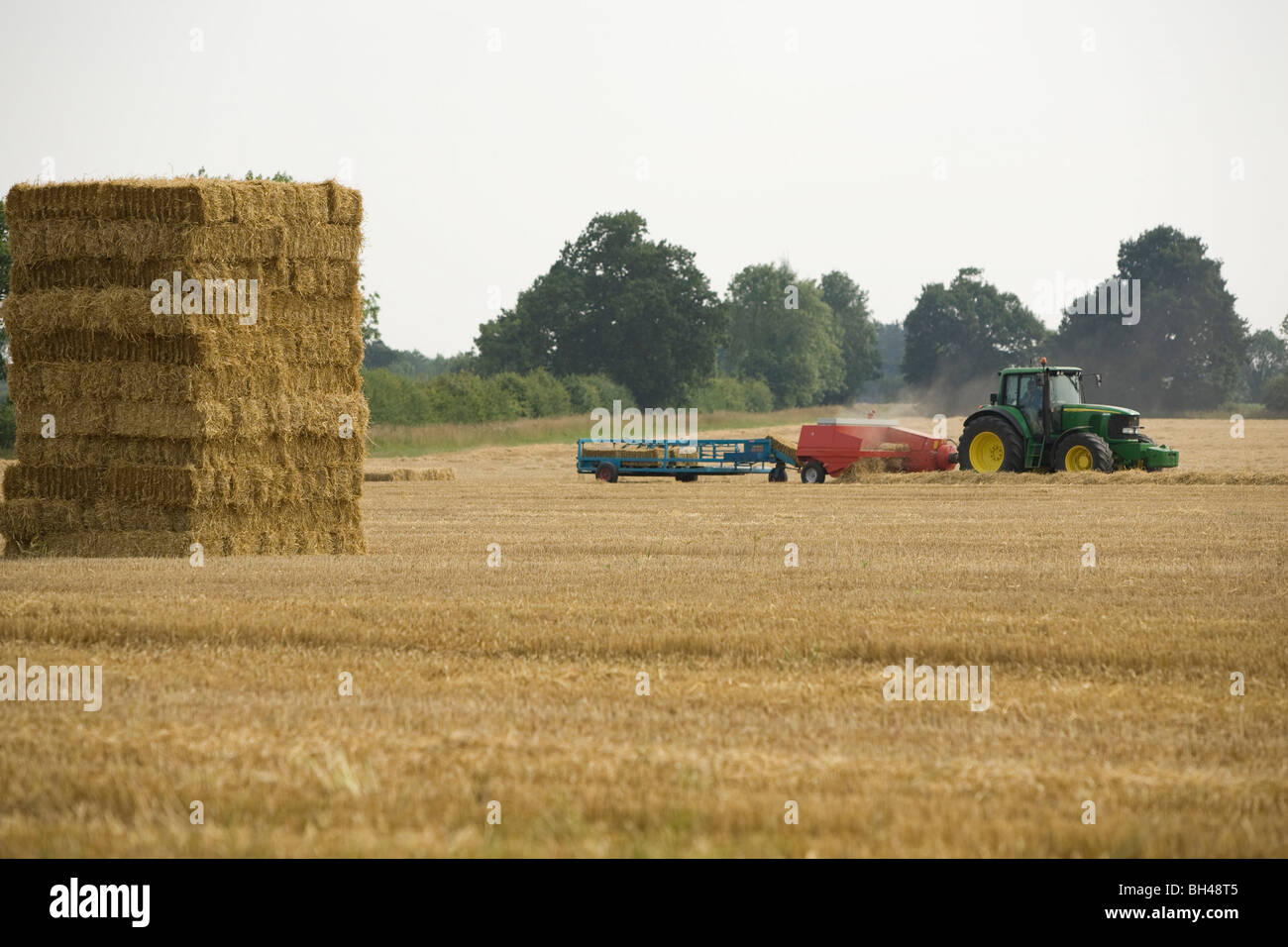 Affidando a Norfolk farm in luglio. Foto Stock