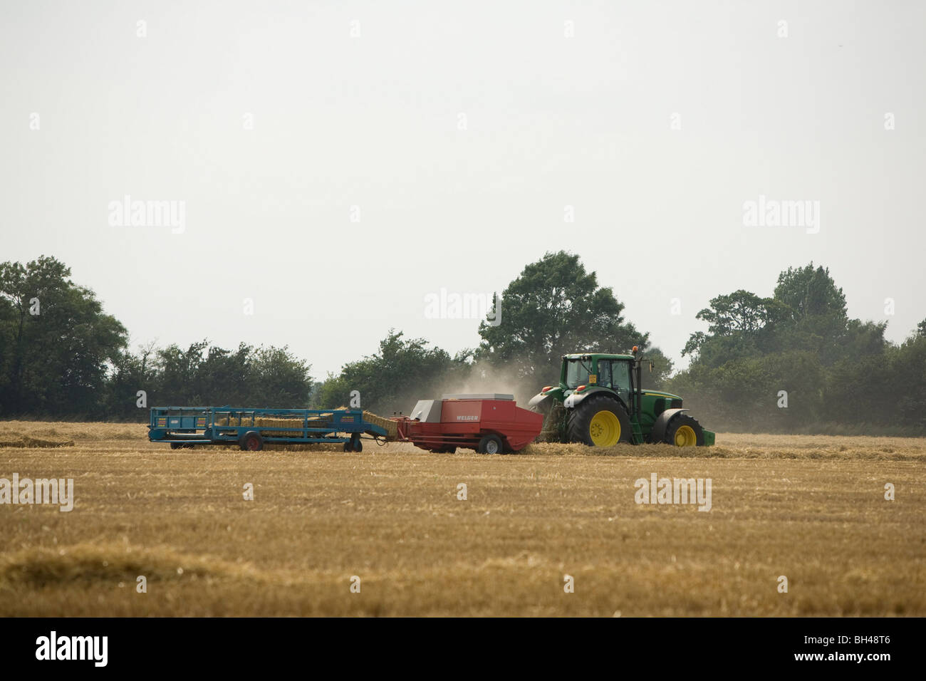 Affidando a Norfolk farm in luglio. Foto Stock