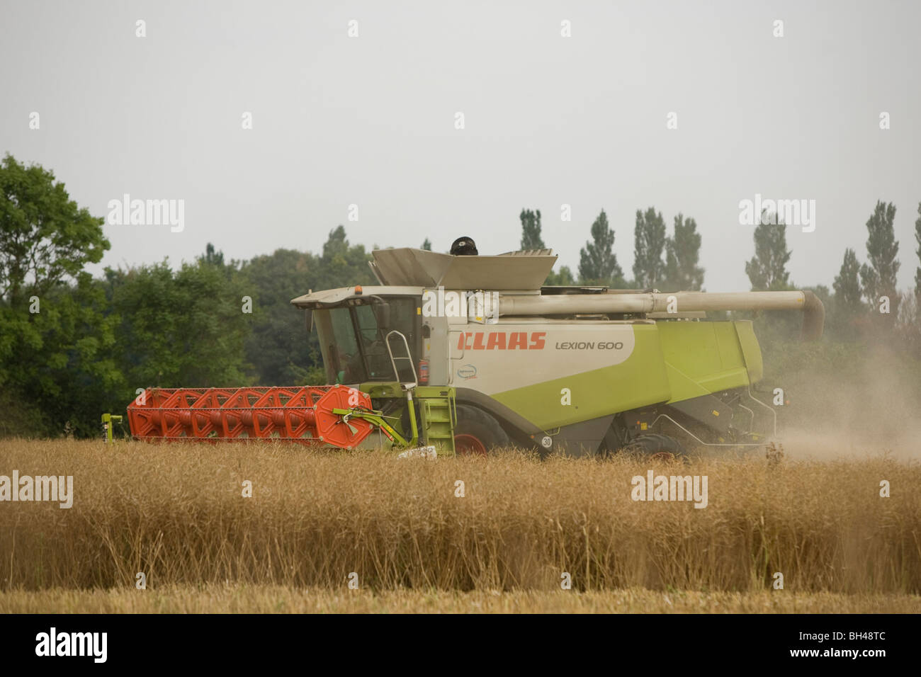 Green mietitrebbia su Norfolk farm in luglio. Foto Stock