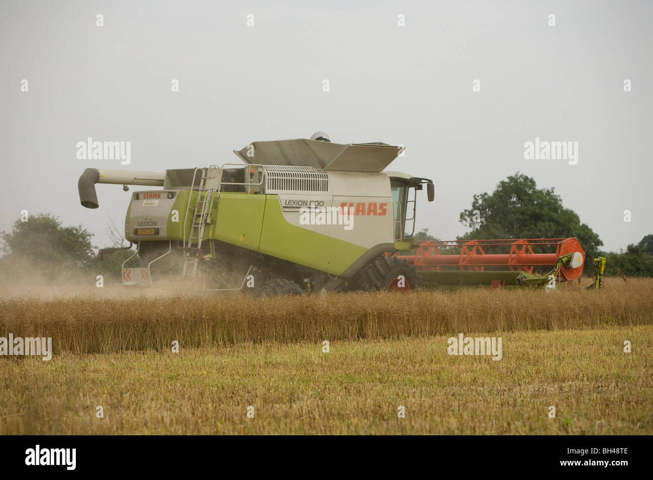 Green mietitrebbia su Norfolk farm in luglio. Foto Stock