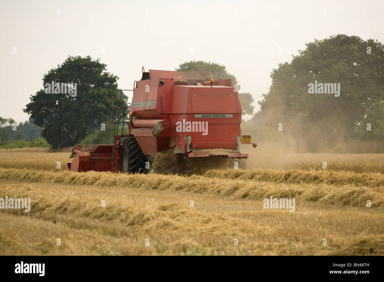 Red mietitrebbia su Norfolk farm in luglio. Foto Stock