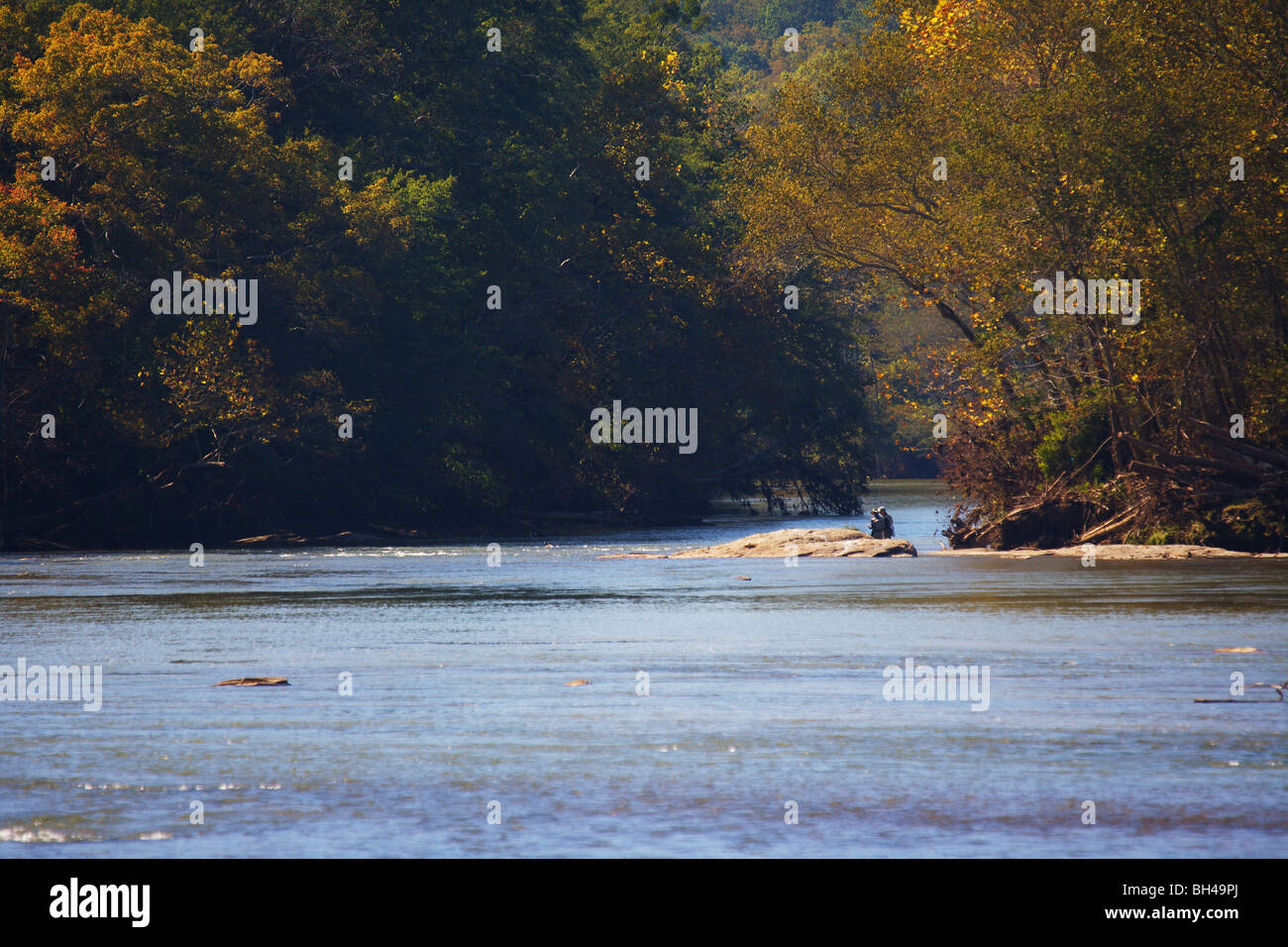 Pescatore a mosca la pesca in fiume godendo GIALLO AUTUNNO A COLORI IN alberi ampio angolo GEORGIA nessun modello di rilascio Foto Stock