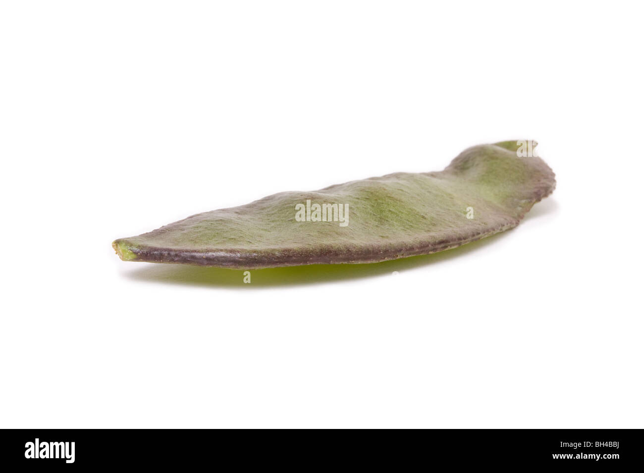 Semi di fagiolo | Acquisti Online su Semi di fagiolo | Acquisti Online su