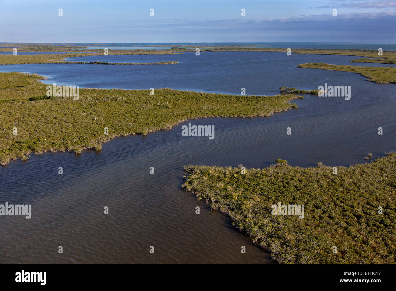 Parco nazionale delle Everglades, Florida, Sito del Patrimonio Mondiale Foto Stock