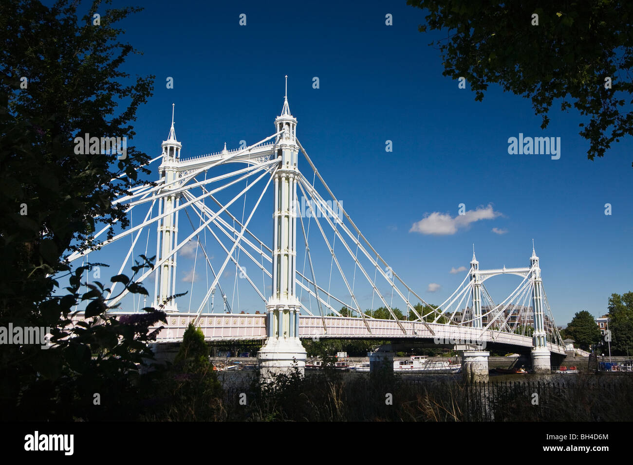 White Albert Ponte sul Fiume Tamigi a Londra. Foto Stock