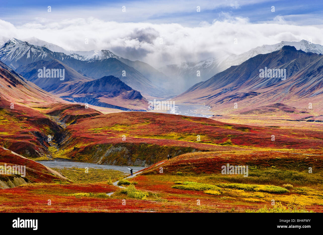 I colori dell'autunno e Alaska Range, Parco Nazionale di Denali, Alaska Foto Stock