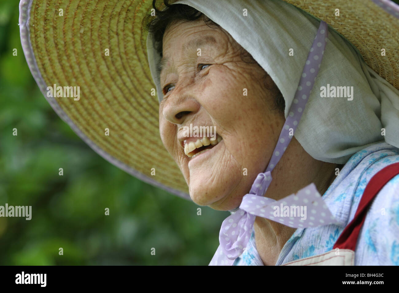 Tokio Kayao agricoltura in Chiba, Giappone. Foto Stock