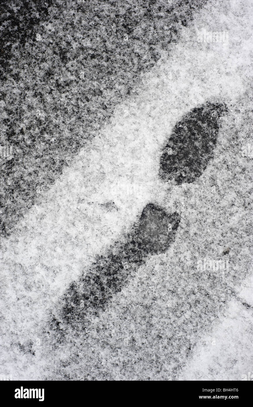 Tracce di pneumatici e di impronta su una coperta di neve road Foto Stock