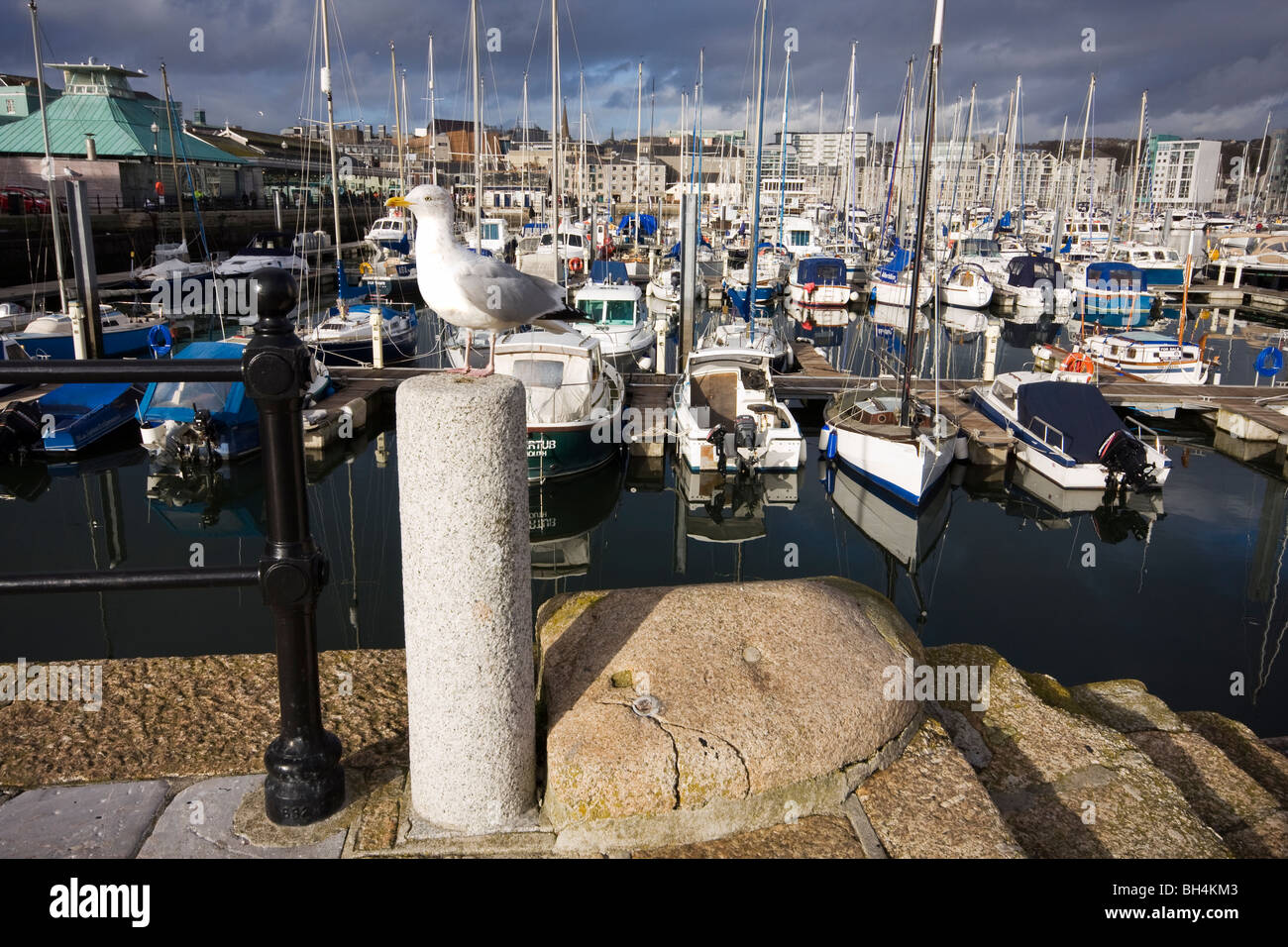 Un gabbiano si siede su un pilastro di pietra sul Plymouth's Barbican Foto Stock