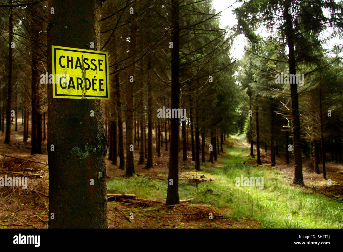 Un chasse gardee segno (caccia privato) inchiodati ad un albero nel bosco di pino in Limousin. Foto Stock
