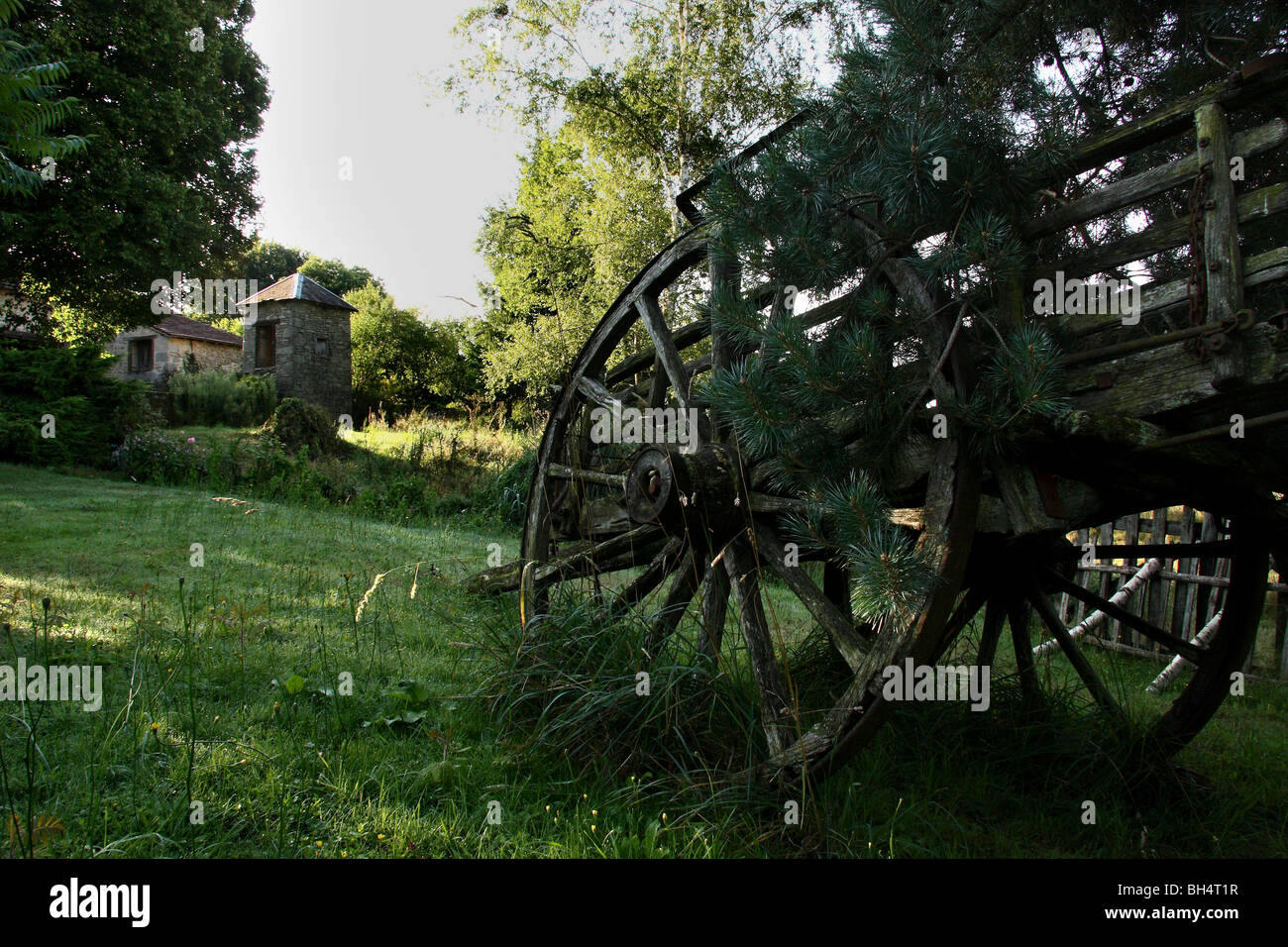 Un vecchio carrello di legno in cattive condizioni in un campo sotto un pino. Foto Stock