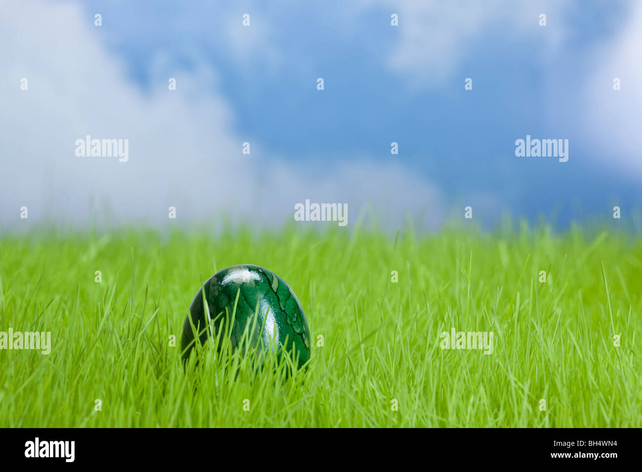 Uovo di Pasqua sui prati e il cielo in background Foto Stock