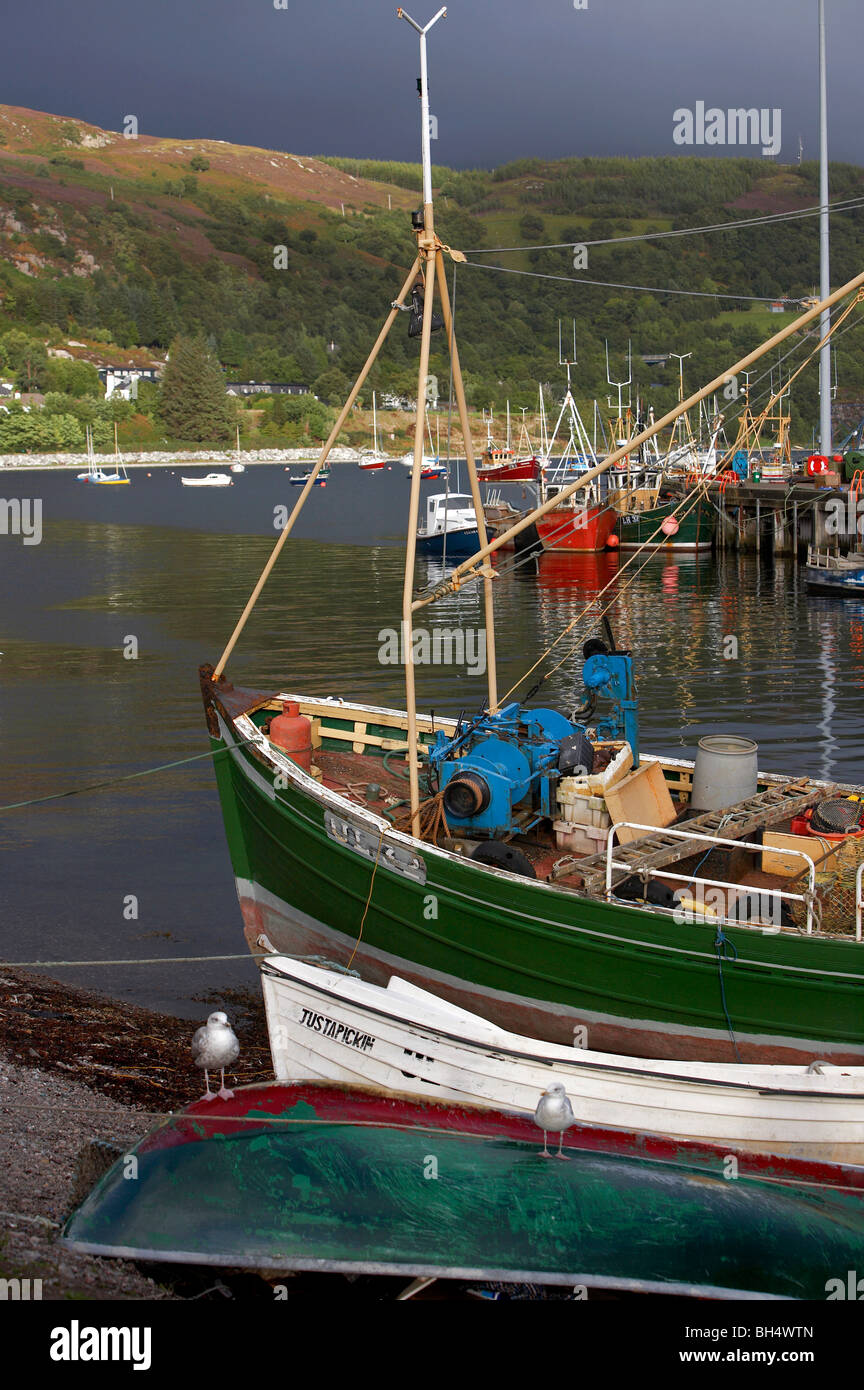 Barche da pesca in Ullapool Harbour. Foto Stock