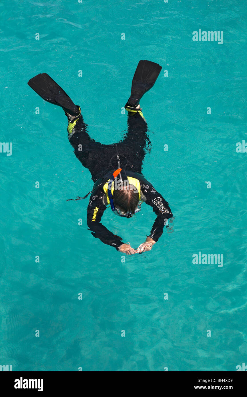 Snorkeling acque blu turchese creature Fotografia Equador Foto Stock