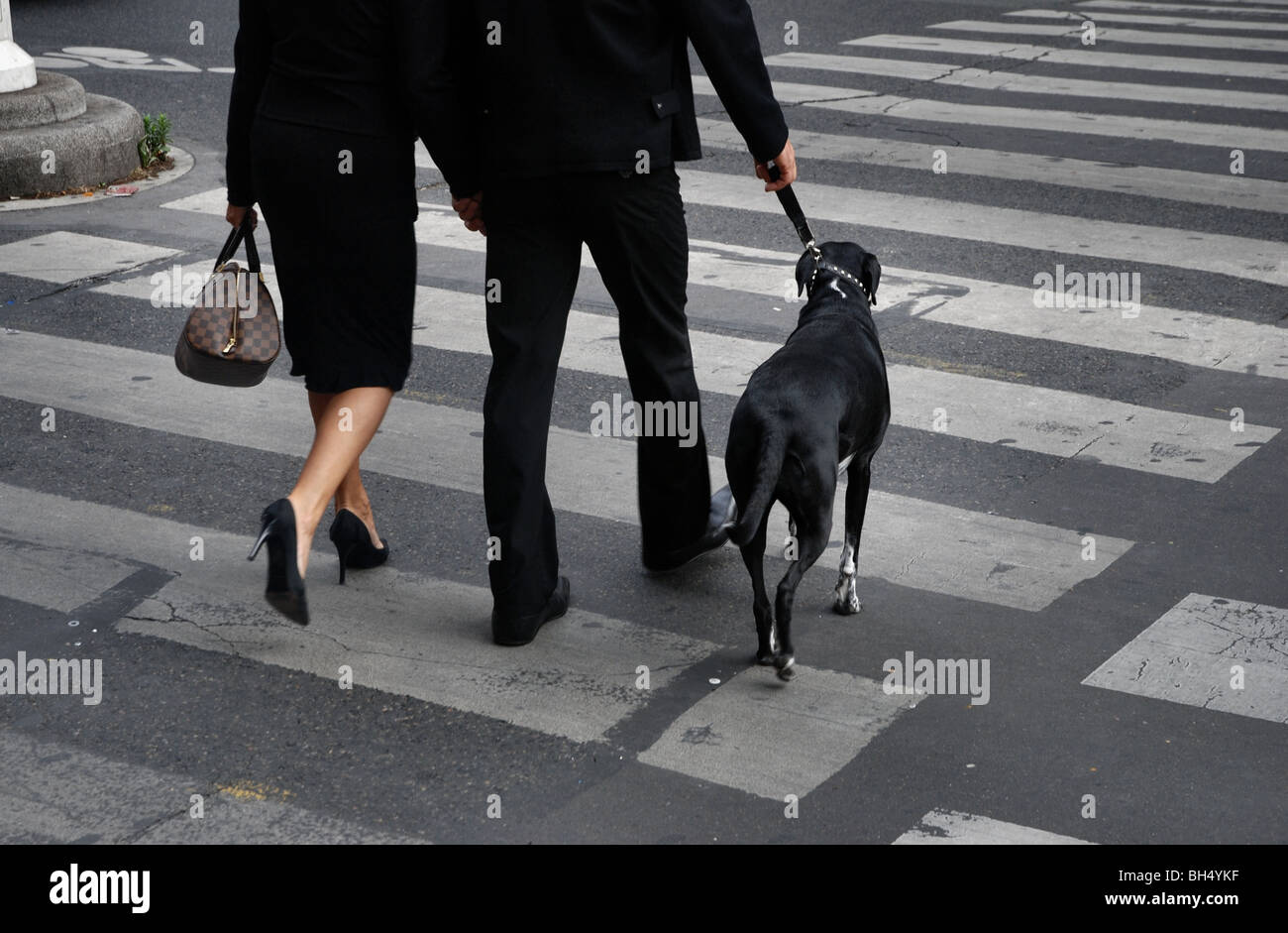 Parigi: un giovane vestito di nero su una zebra incrocio con un cane nero Foto Stock