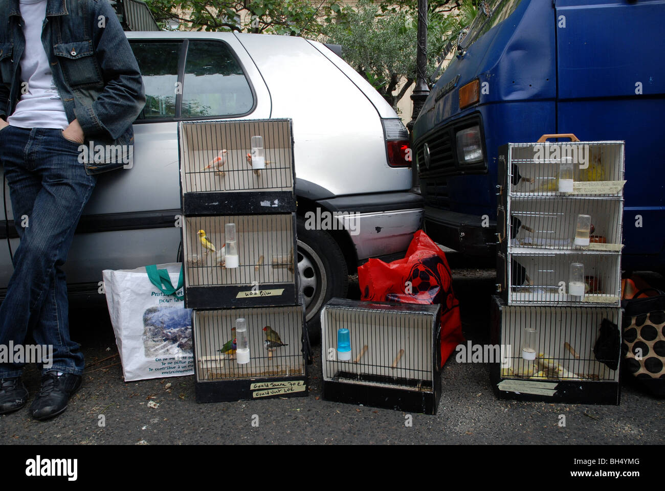 Il Marché aux Oiseaux: la domenica mattina il mercato degli uccelli sulla Ile St Louis di Parigi, Francia. Foto Stock