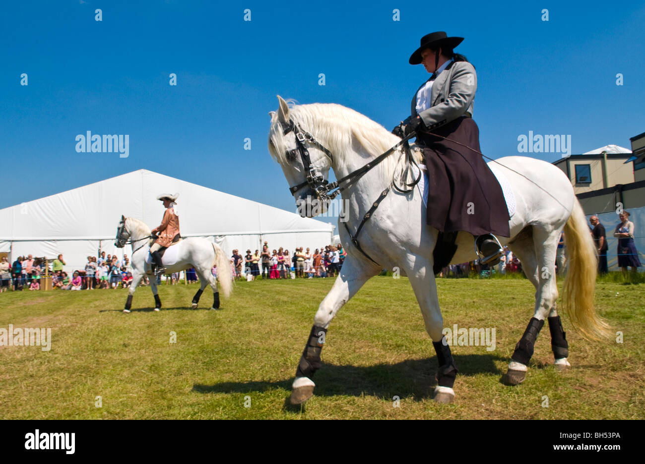 La penna Llyn classica Squadra Dressage dare un display di equitazione a Hay Festival 2009. Foto Stock