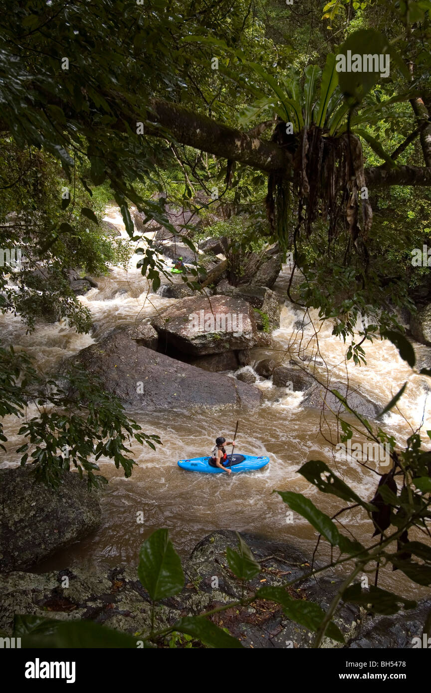 Whitewater paddler e umido stagione inondazioni nella foresta pluviale al Crystal Cascades, Redlynch, Cairns, North Queensland, Australia Foto Stock