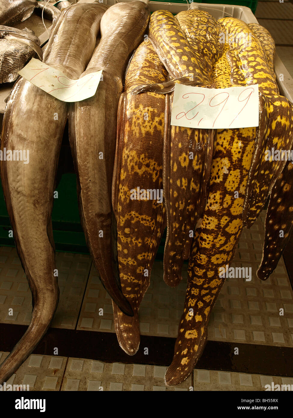 Pesci sul mercato di Madera con prezzo Biglietti Foto Stock