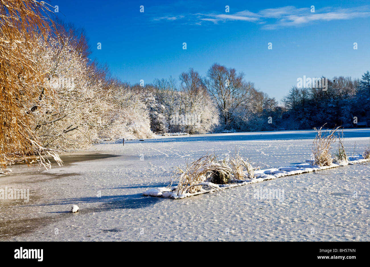 La congelati acque di un piccolo lago noto come Liden Lagoon a Swindon, Wiltshire, Inghilterra, Regno Unito adottate nel gennaio 2010 Foto Stock