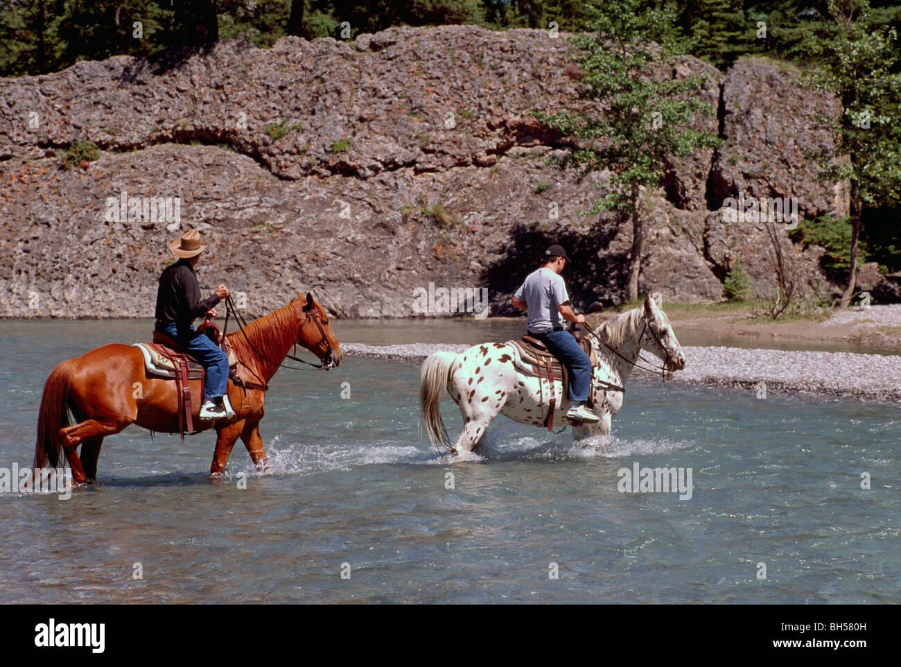 Il Parco Nazionale di Banff, Canadian Rockies, Alberta, Canada - Trekking a cavallo, Equitazione, cavalli Varcando il fiume, estate Foto Stock