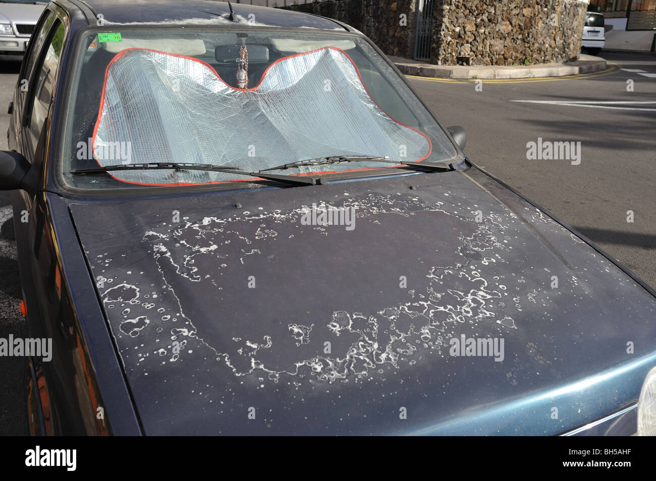 Vernice danneggiata dal sole immagini e fotografie stock ad alta  risoluzione - Alamy