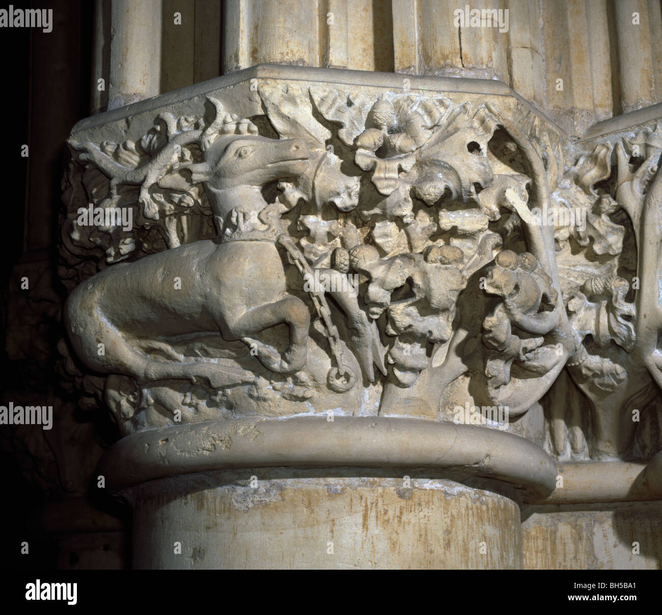York Minster, incatenato White Hart, badge di Richard II, alta sul sud est del molo di crossing Foto Stock
