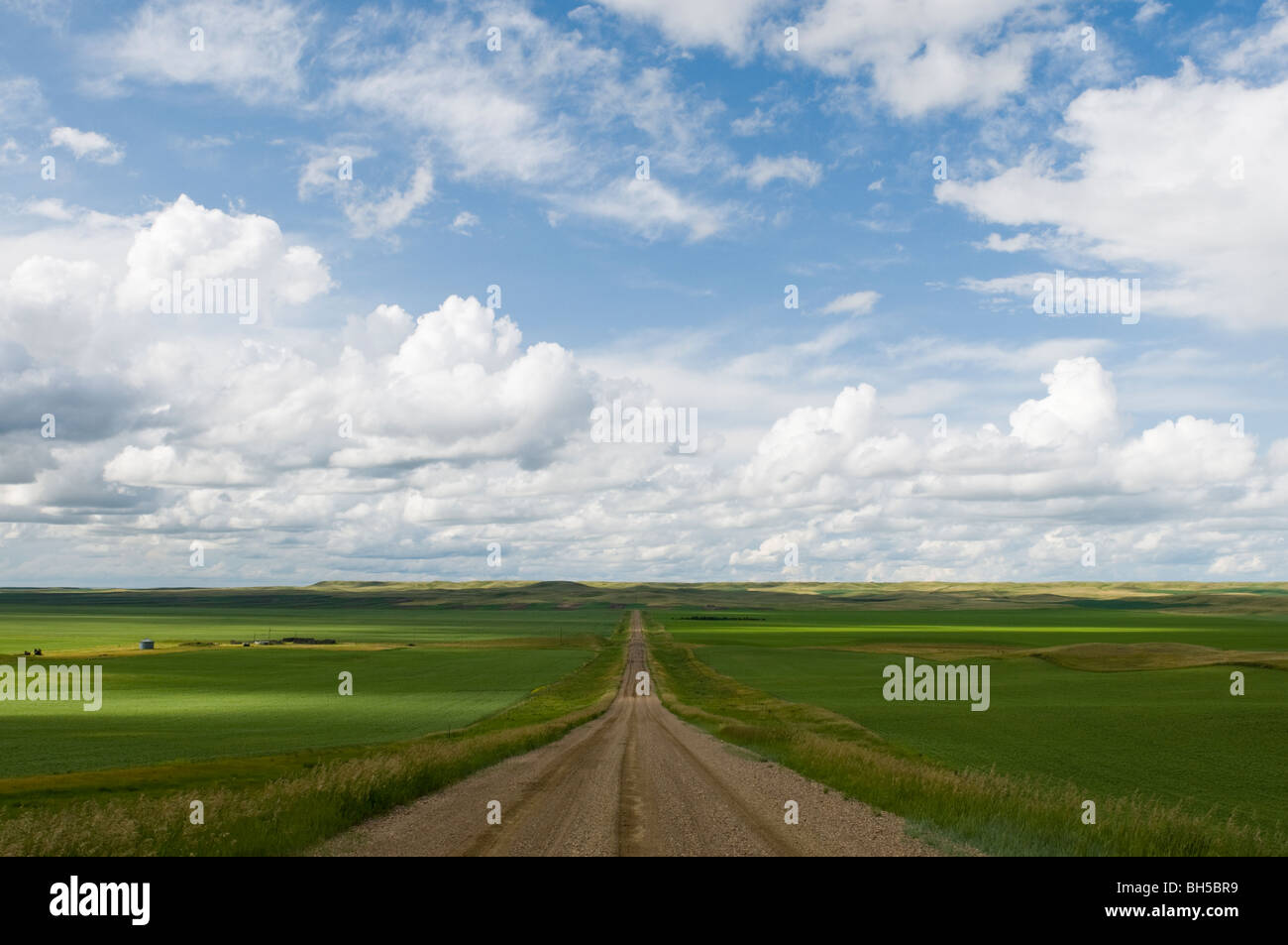 Legno di palissandro Road e campi verdi e drammatico sky NW di Opheim Foto Stock