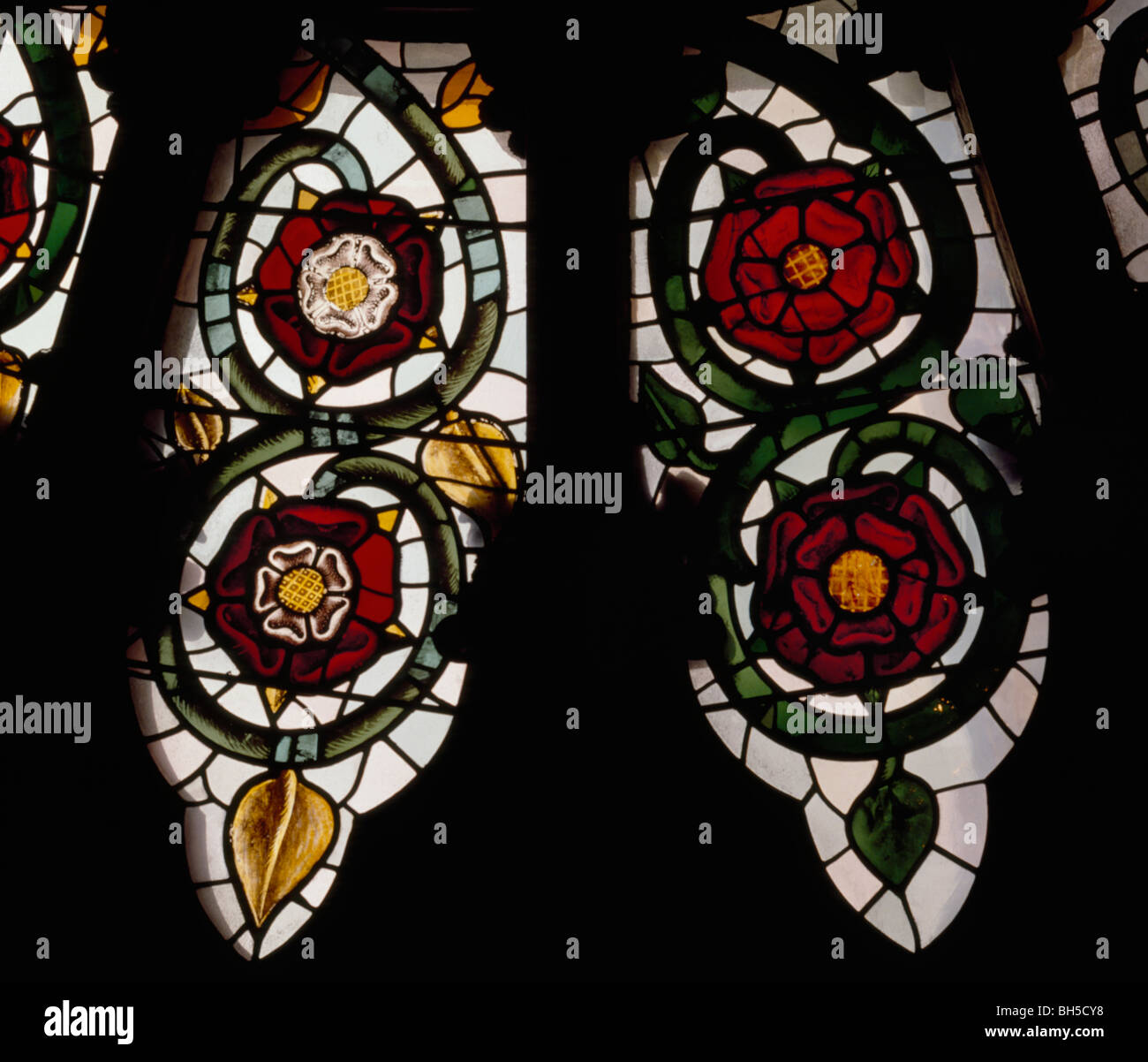 York Minster, transetto sud rosone, XVI secolo Tudor Rose bianco su rosso, Lancastrian rose red Foto Stock