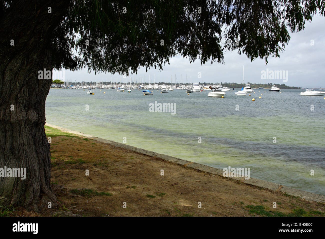 Marina a Mosman Bay nei pressi di Cottesloe in Western Australia. Foto Stock