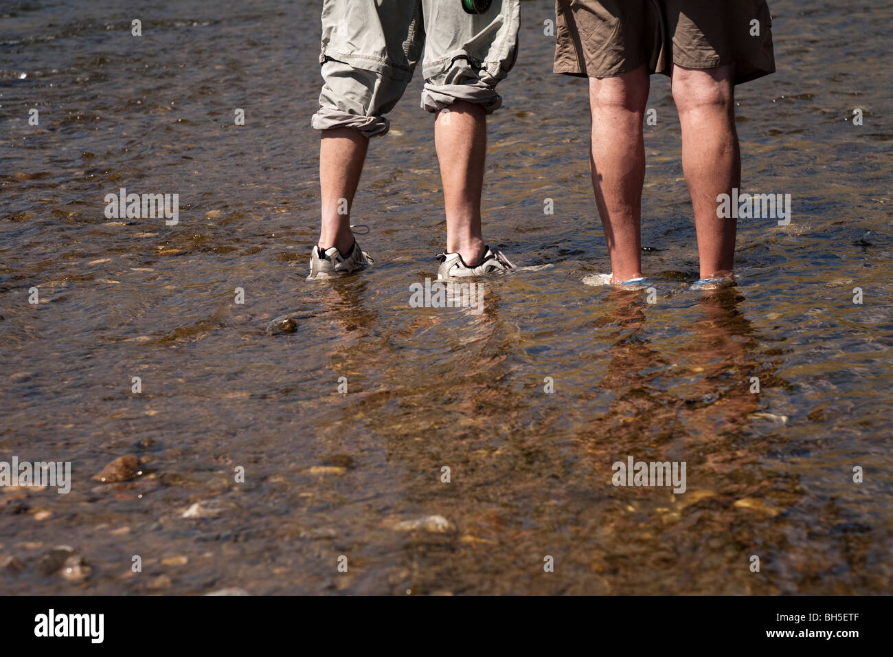 Due coppie di gambe maschio in acqua Foto Stock