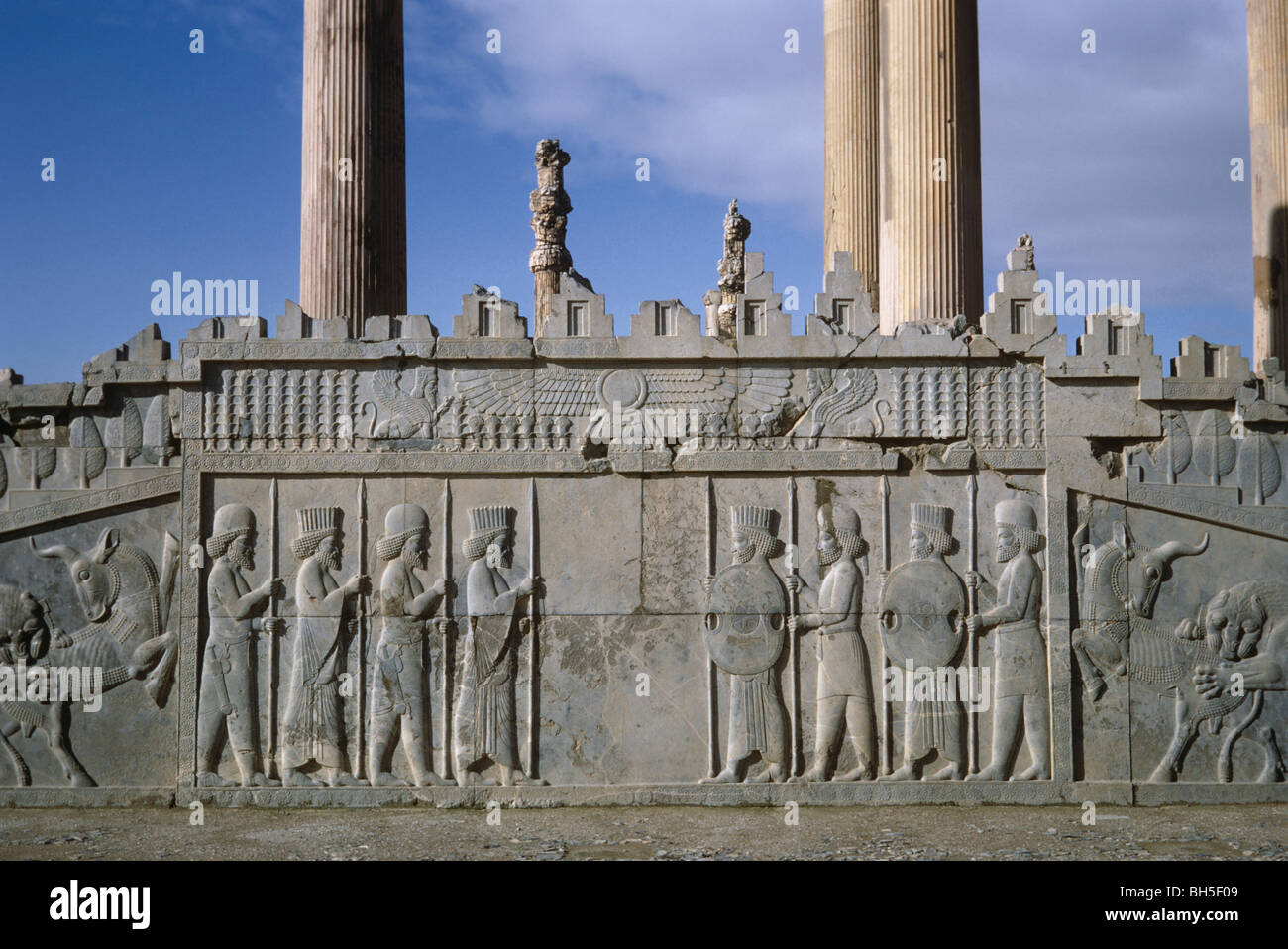 Scalone centrale della Apadana, Persepolis, Iran 690125_029 Foto Stock