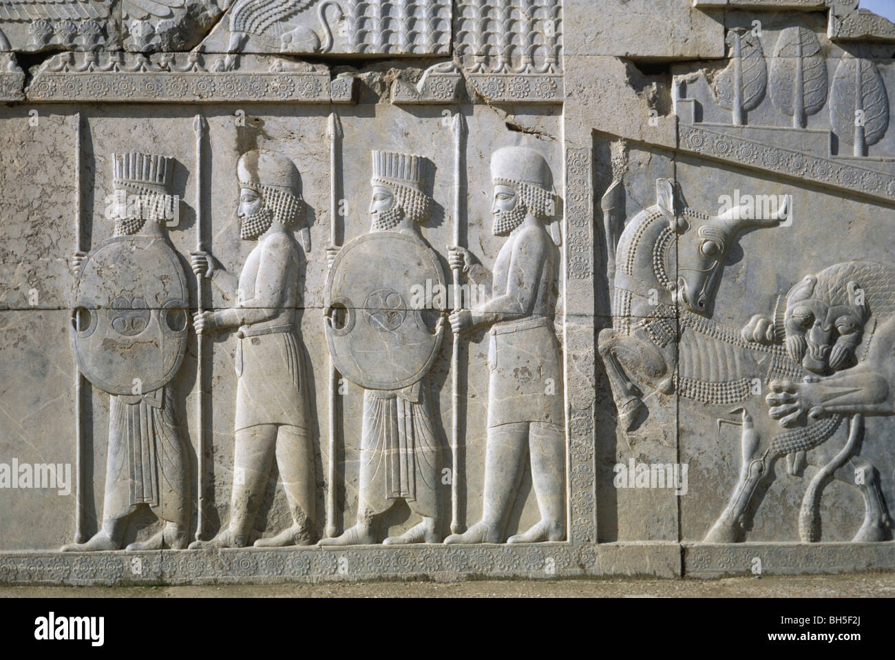 Close-up del pannello centrale della scala della Apadana, Persepolis, Iran 690125 106 Foto Stock