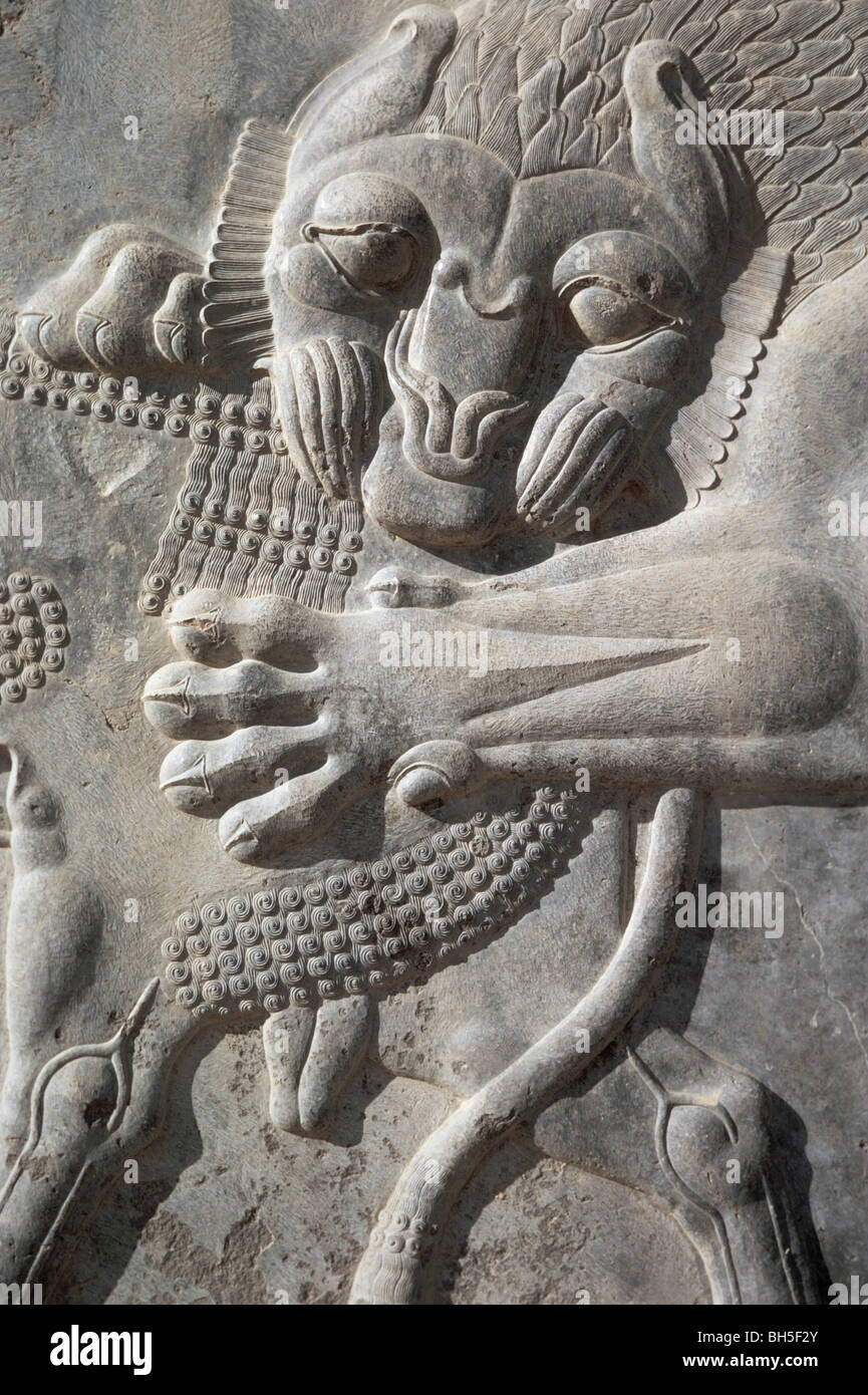 Dettaglio del leone che attacca il toro, scalinata della Apadana, Persepolis, Iran 690125 107 Foto Stock